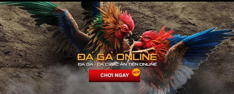 Game đá gà trực tuyến